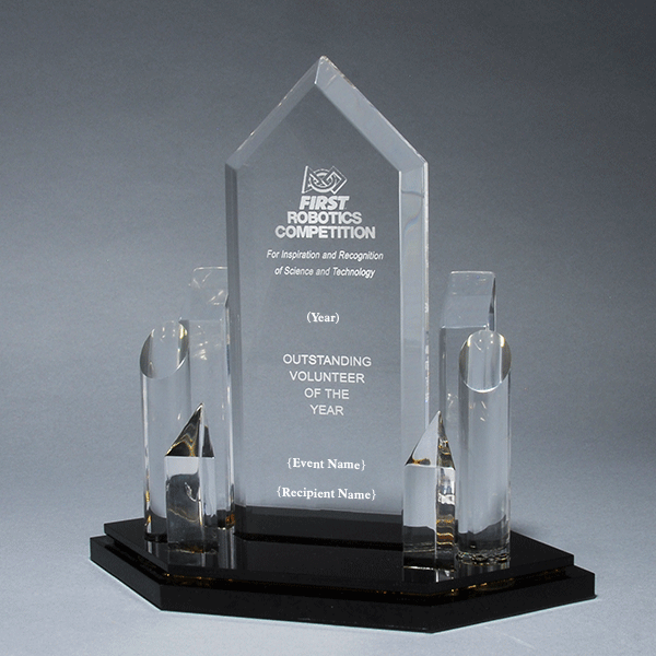 Volunteer of the Year Award - Main Image